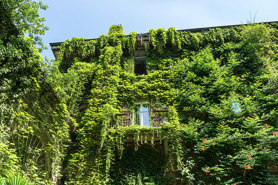 Milans Marvelous Architecture - Biophilic House Facade Photograph by Georgia Mizuleva