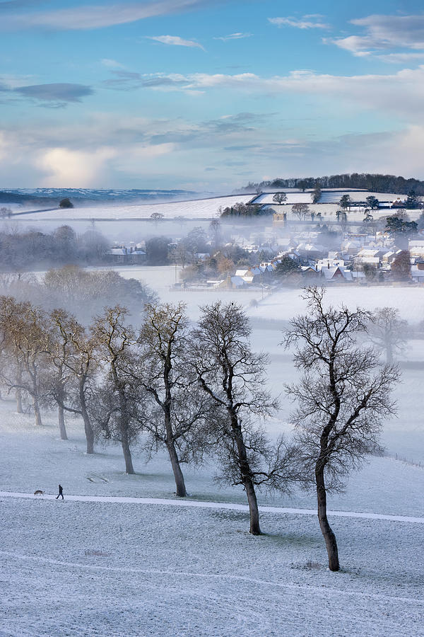 Milborne Port In The Snow And The Mist, Somerset, England Photograph by David Noton / Naturepl.com Milborne Port In The Snow And The Mist, Somerset, England Photograph by David Noton / Naturepl.com