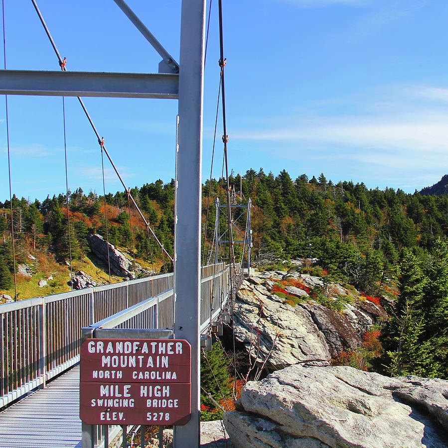 Mile High Swinging Bridge 14 By Cathy Lindsey