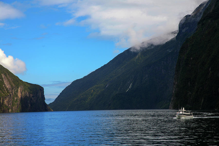 Milford Sound by Arthit Somsakul