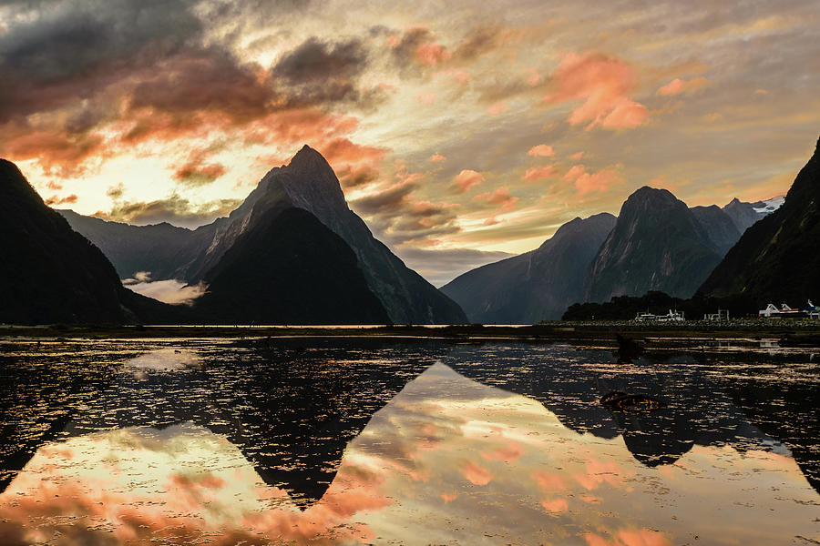 Milford Sound - Fiordland Photograph by Robert Green - Fine Art America