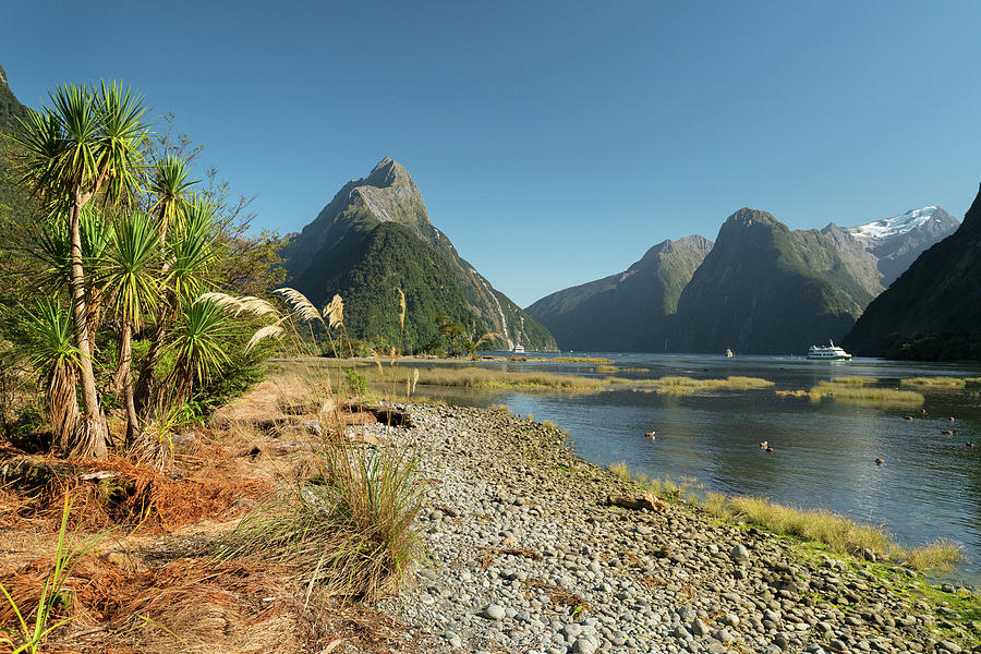 Milford Sound, Miter Peak, Fiordland National Park, Southland, South Island, New Zealand, Oceania Photograph by Rainer Mirau