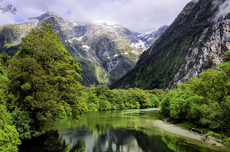 Milford Track Photograph by Nick Twyford Photography