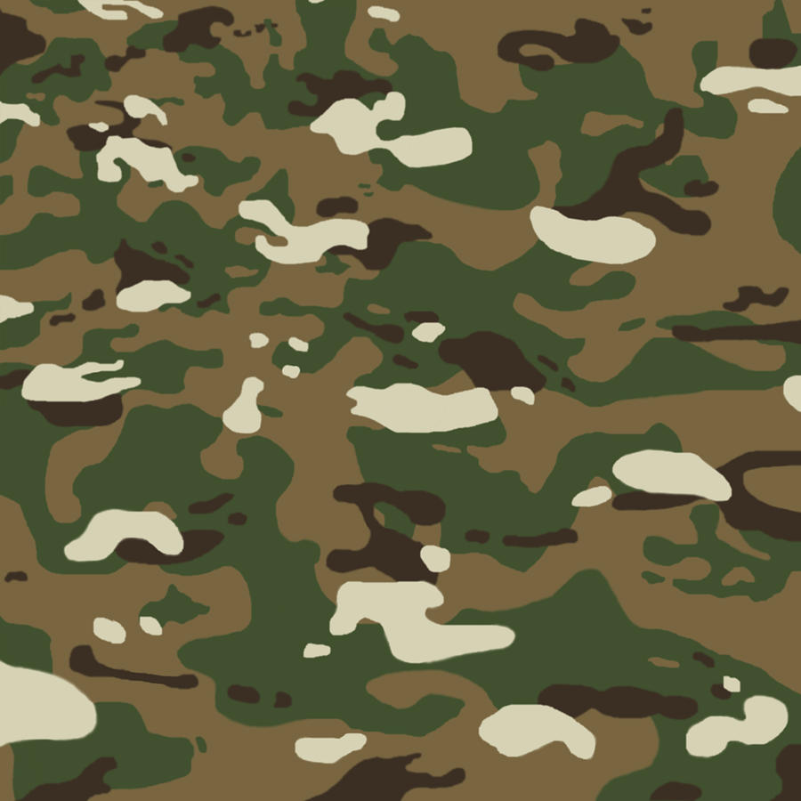 Desert Camouflage Pattern #1 by Jared Davies