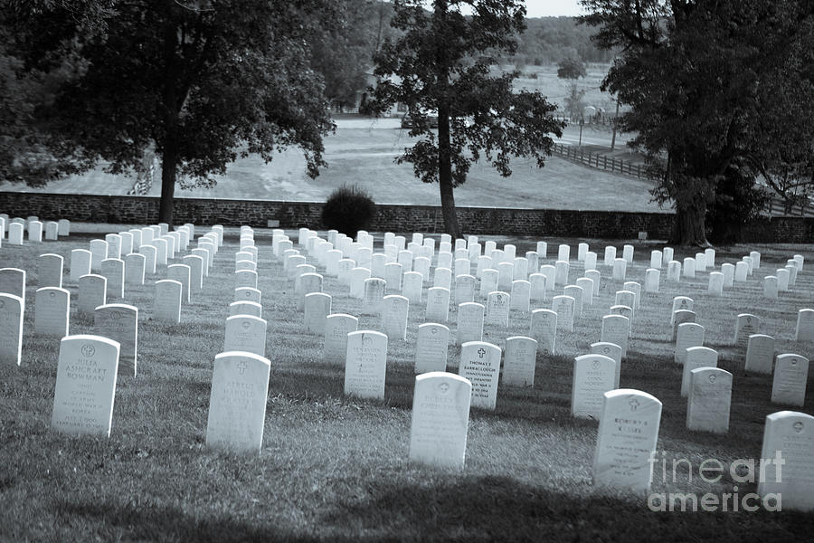 Military Gravestones Photograph