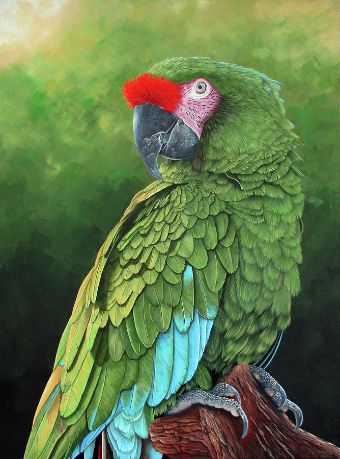 Military Macaw Portrait Painting by Debra Dickson