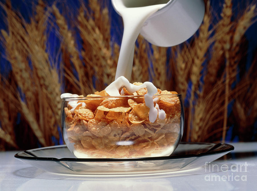 Milk Being Poured Into A Bowl Of Cornflakes Cereal Photograph by Oscar Burriel/science Photo Library