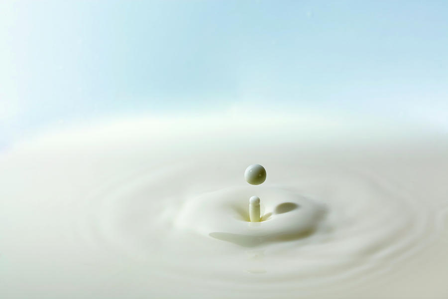 Milk Drop Photograph by Mordolff