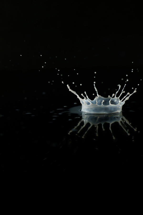 Milk Drop Splash Photograph by Benjamin Torode