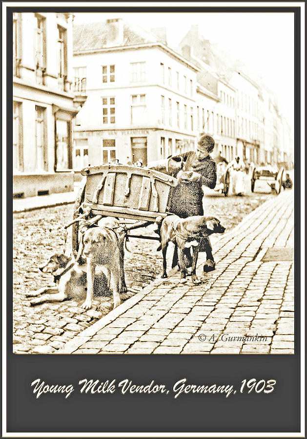 Milk Wagon, Street Scene, Germany, c. 1900, Vintage Photo Photograph by A Macarthur Gurmankin