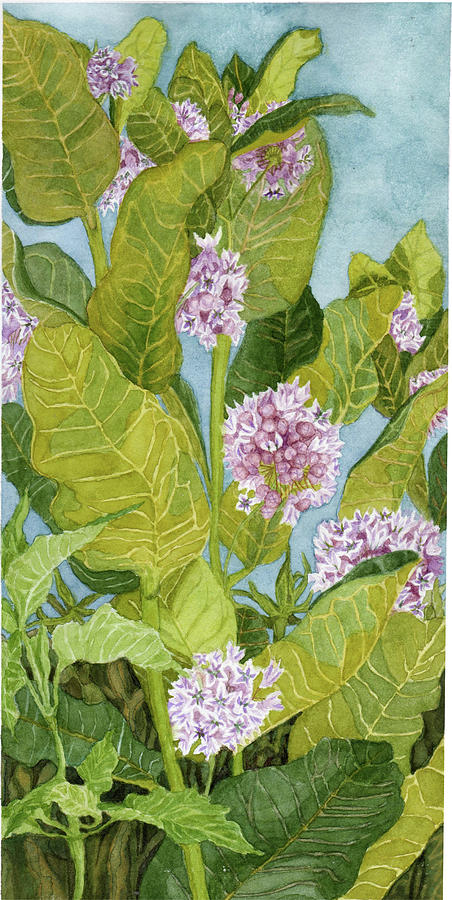 Milkweed I Painting by Alice Ann Barnes