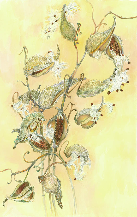 Milkweed Painting - Milkweed by Joanne Porter