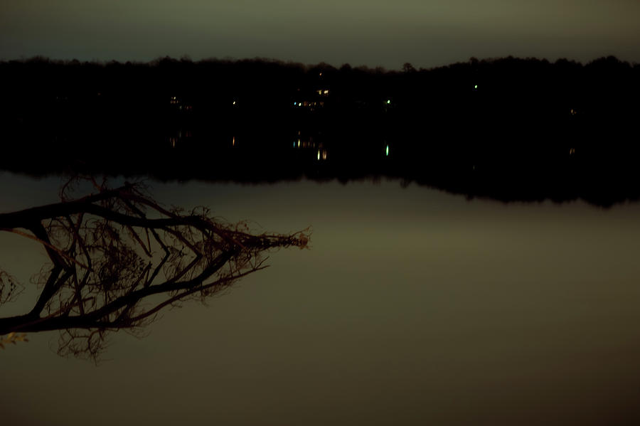 Milky Twilight by Traci Asaurus Milky Twilight by Traci Asaurus