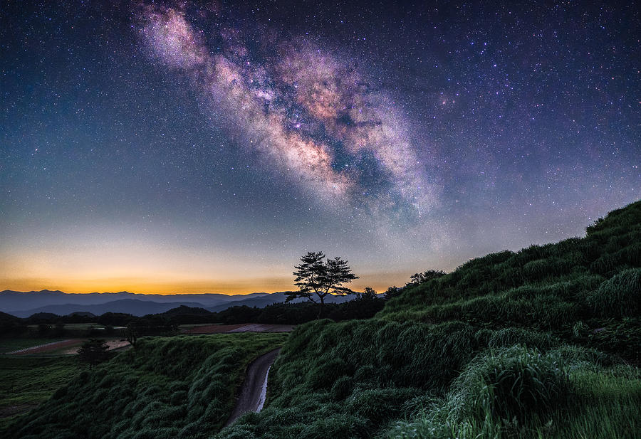 Milky Way Above The Tree Photograph by Hiroaki Ikeshita - Fine Art America