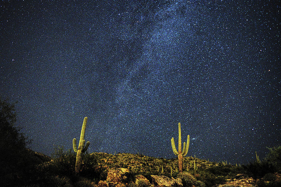 Milky Way and Cactus Photograph by Chance Kafka
