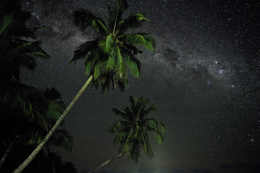 Milky Way And Stars Above Palm Trees, Return To Paradise Beach, Upolu ...