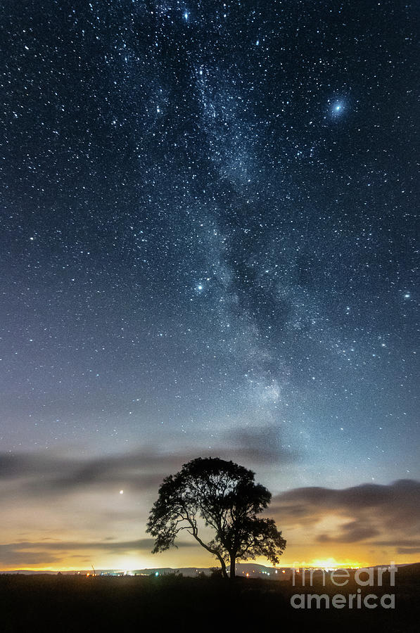 Milky Way And The Lonely Tree On The Limestone Pavement Photograph