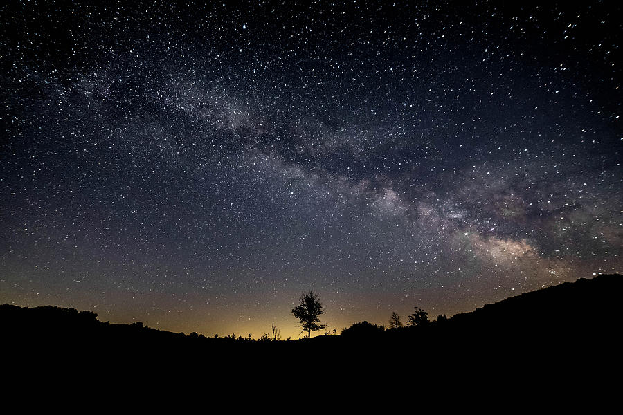 Milky-Way and Tree Photograph by Guy Coniglio