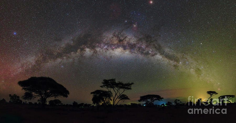 Milky Way Arch Over Acacia Trees Photograph by Amirreza Kamkar / Science Photo Library