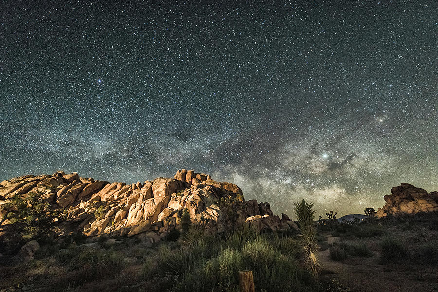 Milky Way at Joshua Tree National Park Photograph by Carol Ward - Fine ...