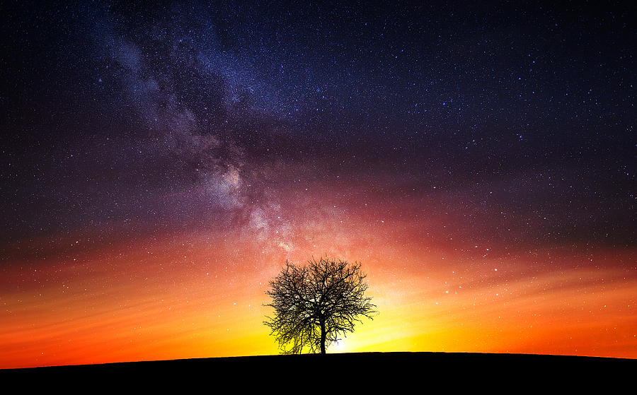 Milky Way Photograph by Bess Hamiti