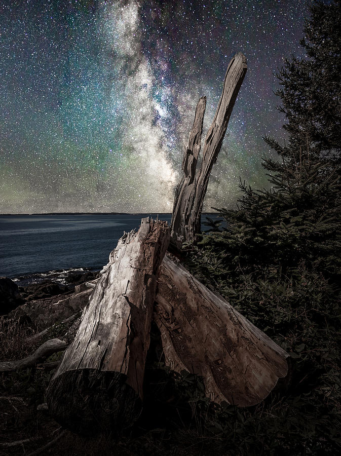 Acadia National Park Photograph - Milky Way Coast by Ed Esposito