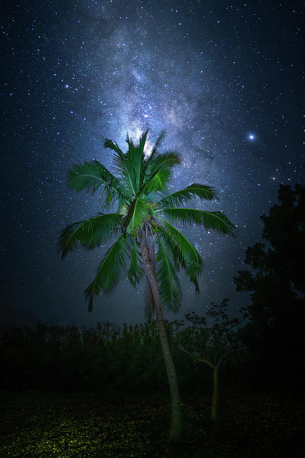 Milky Way Coconuts Photograph by Mark Andrew Thomas