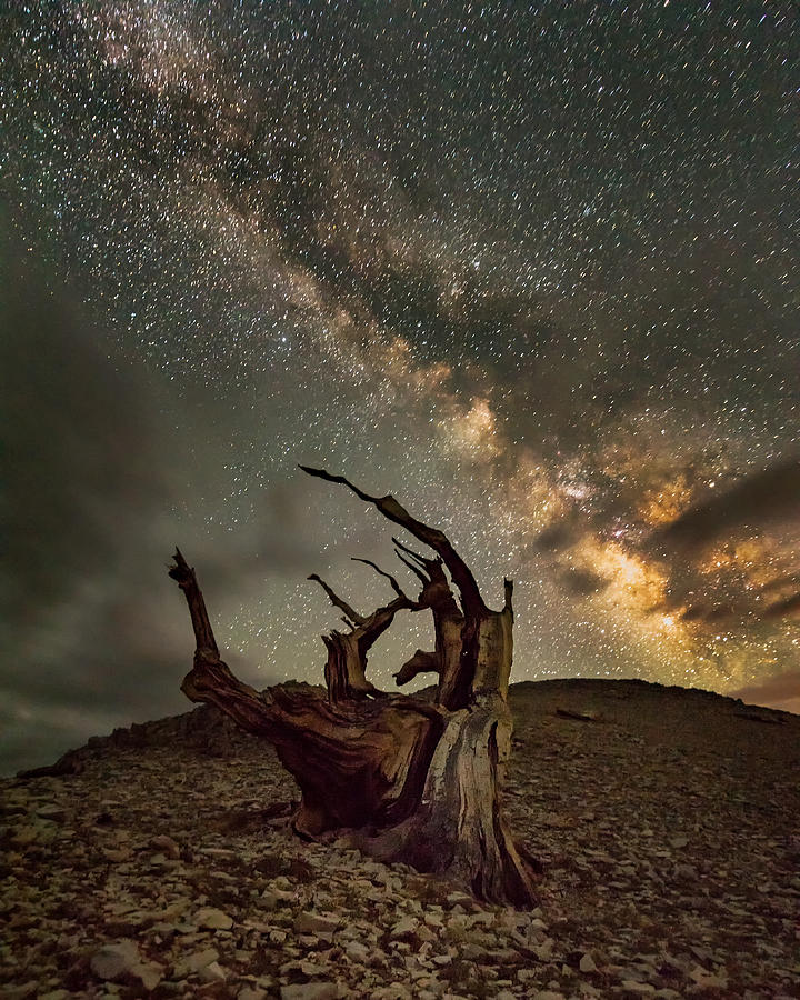 Night Photograph - Milky Way Comes To White Mountain by Annie Poreider