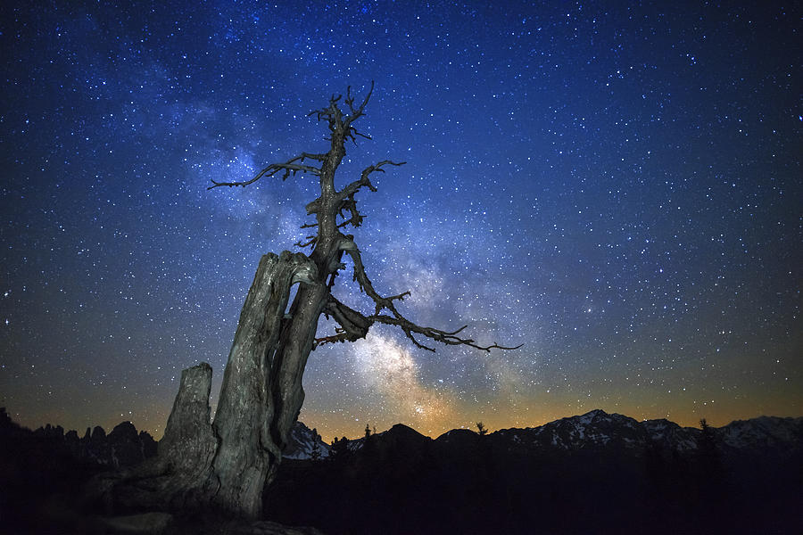 Landscape Photograph - Milky Way by Dr. Nicholas Roemmelt