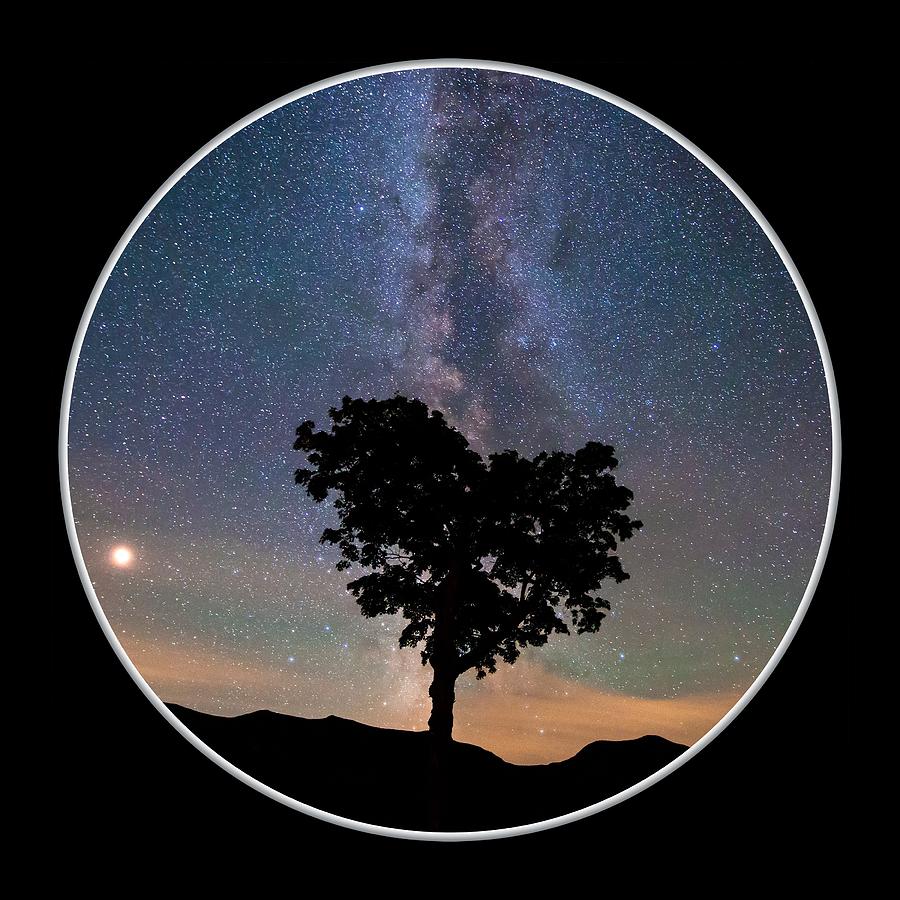 Mountain Photograph - Milky Way Heart Tree Circle by White Mountain Images
