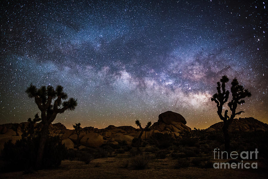 Milky Way In The Desert Photograph by Schroptschop