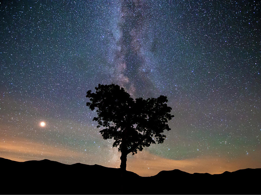 Mountain Photograph - Milky Way, Mars and Heart Tree 3/4 Crop by White Mountain Images
