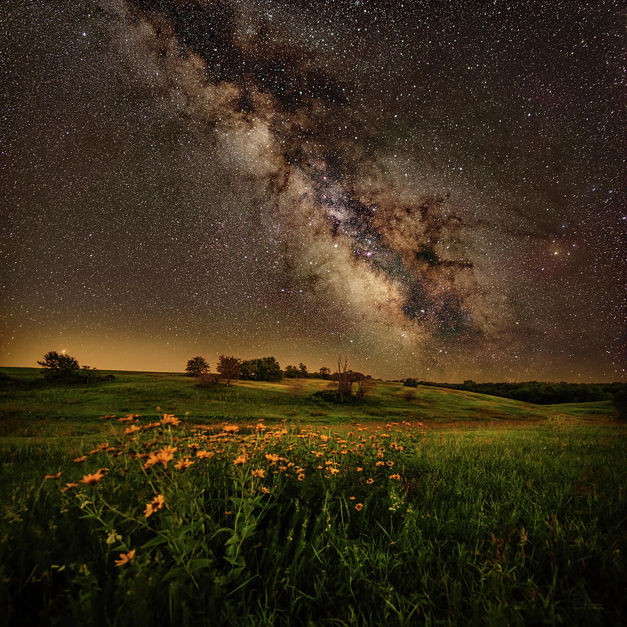 Milky Way Meet Flower Way #2 - Stars above York Prairie State Natural Area in Wisconsin Photograph by Peter Herman