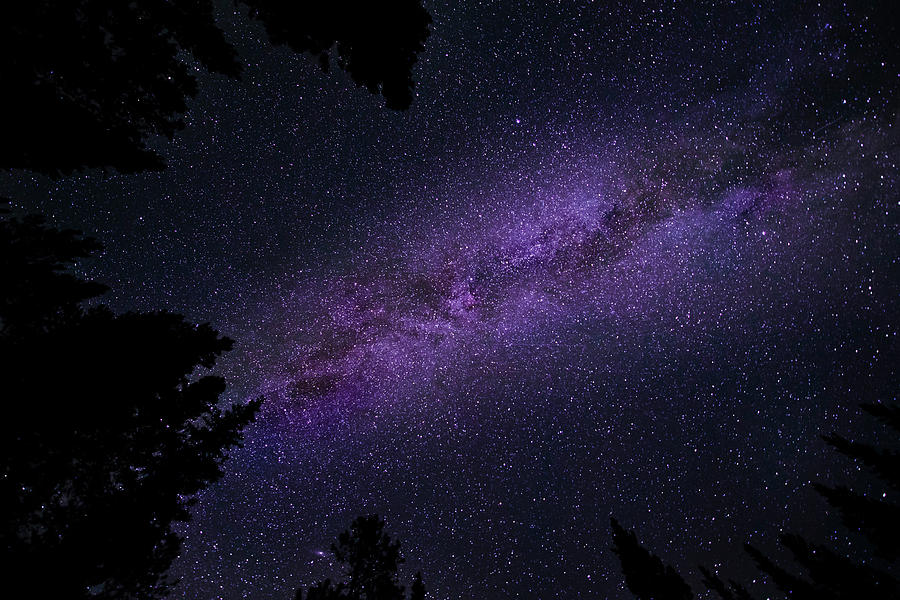 Space Photograph - Milky Way on a Starry Starry Night by Phil And Karen Rispin