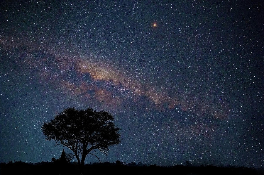 Milky Way over Africa Photograph by John Rodrigues - Fine Art America