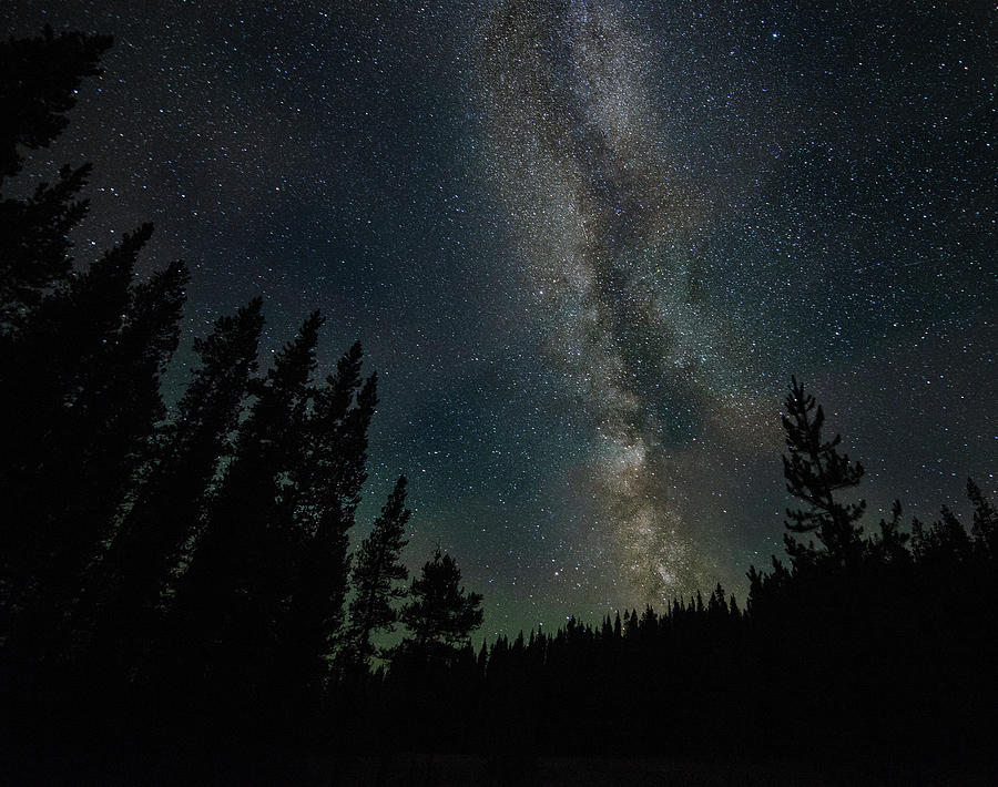 Evergreens Photograph - Milky Way Over Blue Bronna Wilderness Camps by Phil And Karen Rispin