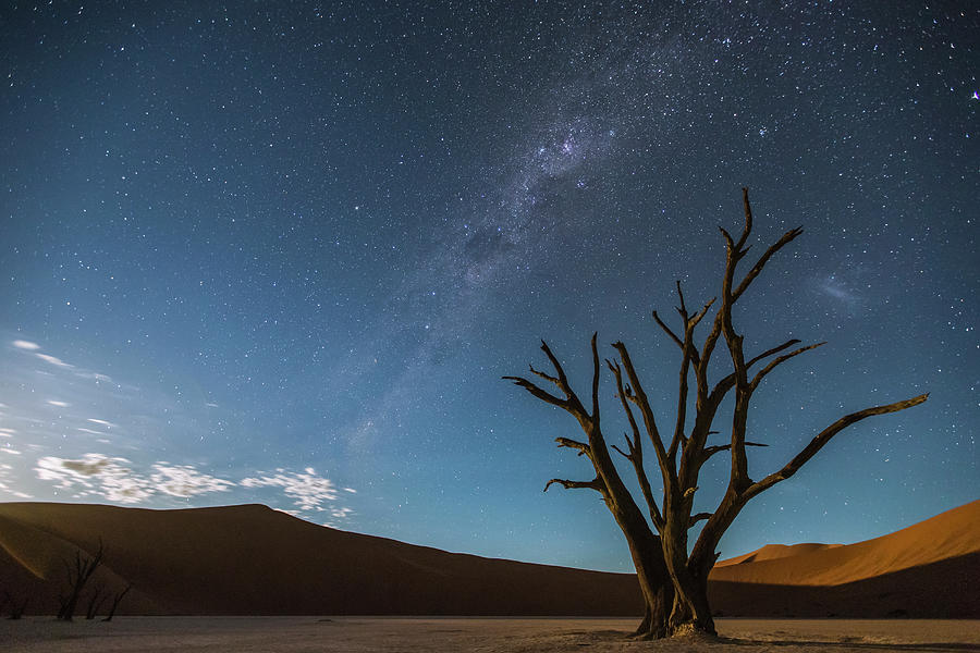 Milky Way Over Dead Vlei Soussvlei Photograph by Nhpa