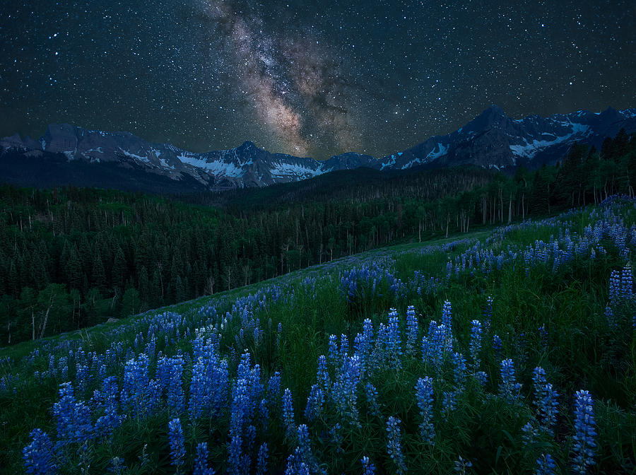 Landscape Photograph - Milky Way Over Lupine Slope by Mei Xu