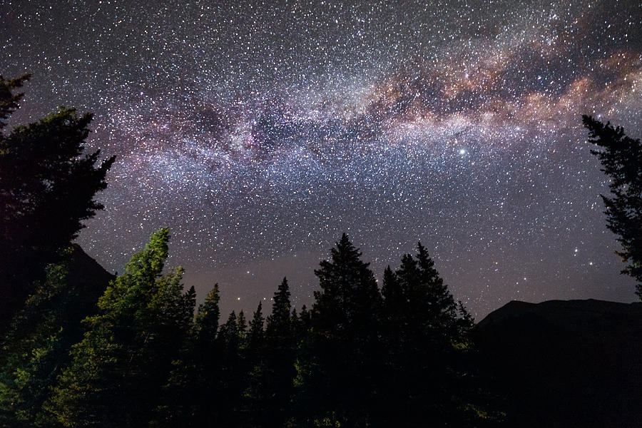 Milky Way Over Trees Photograph by Chelli Zanotti - Fine Art America