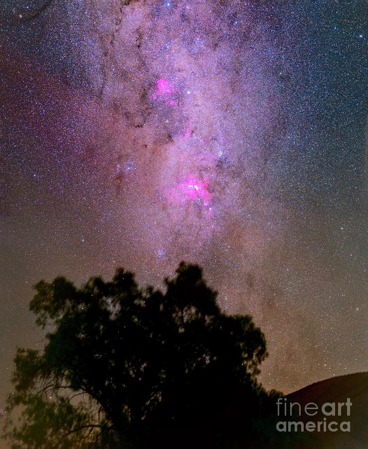 Milky Way Over Trees Photograph by Juan Carlos Casado (starryearth.com ...