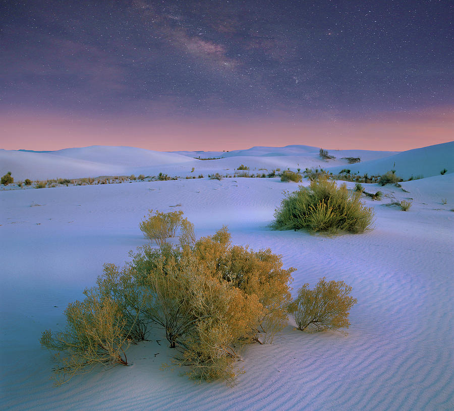 Milky Way Over White Sands Nm, New Mexico Photograph by Tim Fitzharris