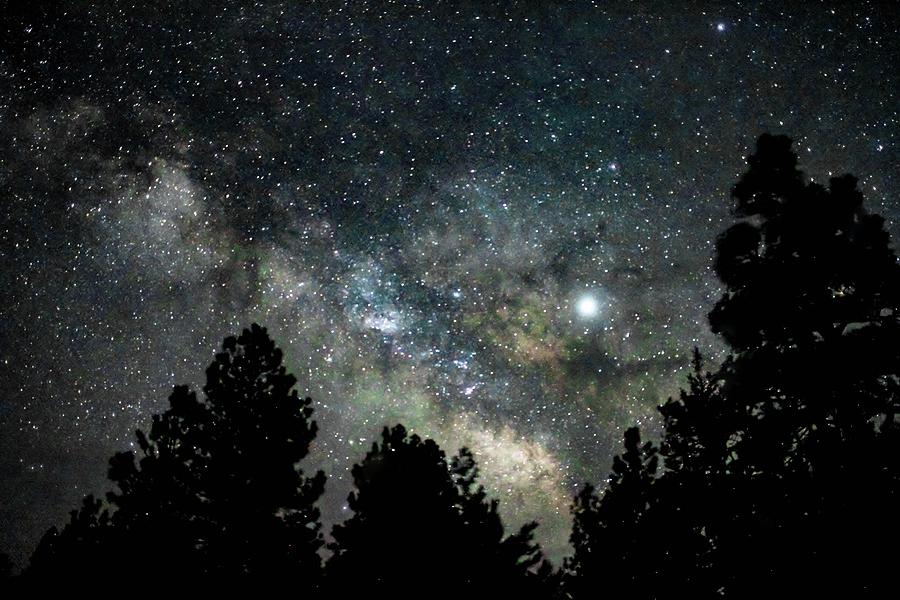 Milky Way Rising Above The Trees Ii Photograph By Caroline Haldeman Pixels 0701