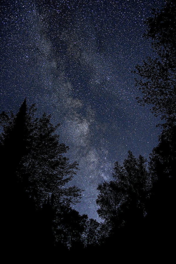 Milky Way Rising Over The Trees by Dale Kauzlaric Milky Way Rising Over The Trees by Dale Kauzlaric