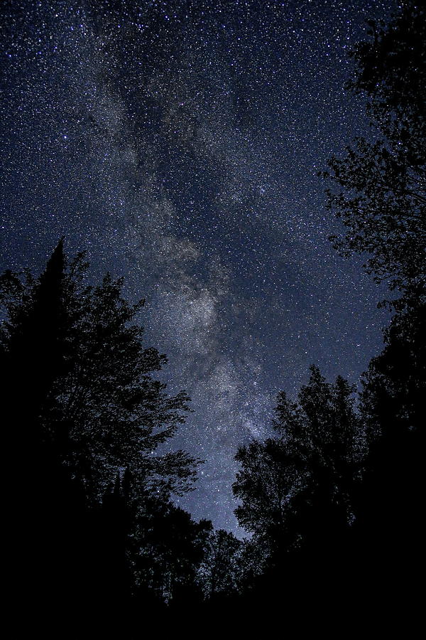 Milky Way Rising Over The Trees Photograph by Dale Kauzlaric