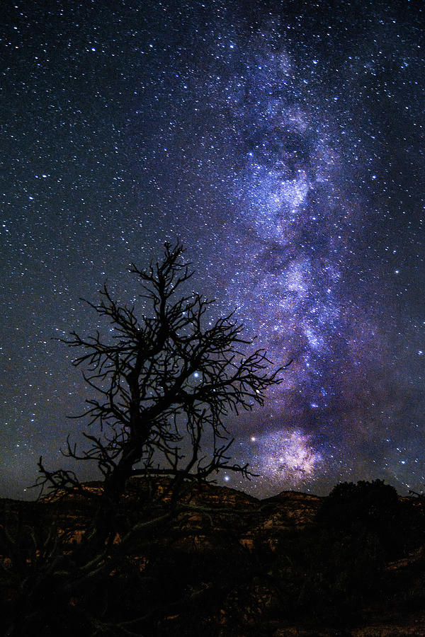 Milky Way Galaxy Photograph - Milky Way Silhouette by Hudson Marsh
