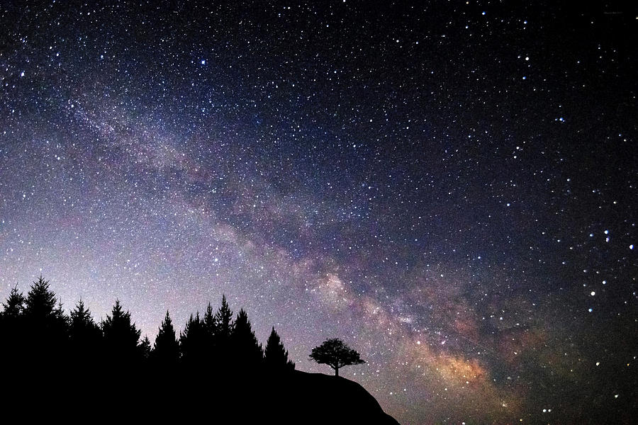 Milky Way Silhouette by Suzanne Stout Milky Way Silhouette by Suzanne Stout