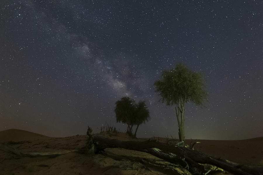 Milky Way With Desert Trees Photograph by Souvik Banerjee