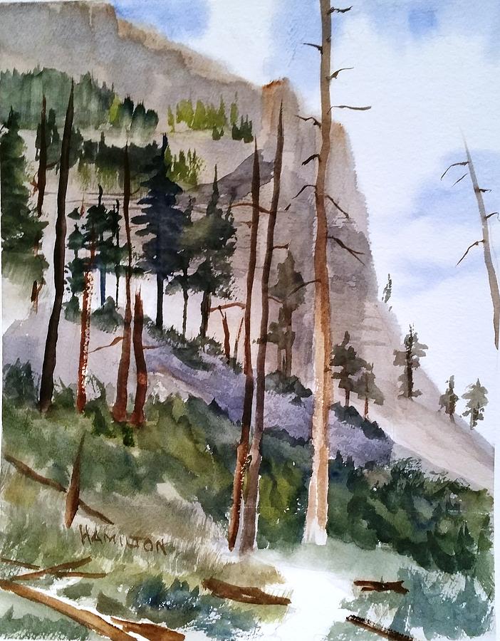 Mill Creek Canyon by Larry Hamilton Mill Creek Canyon by Larry Hamilton