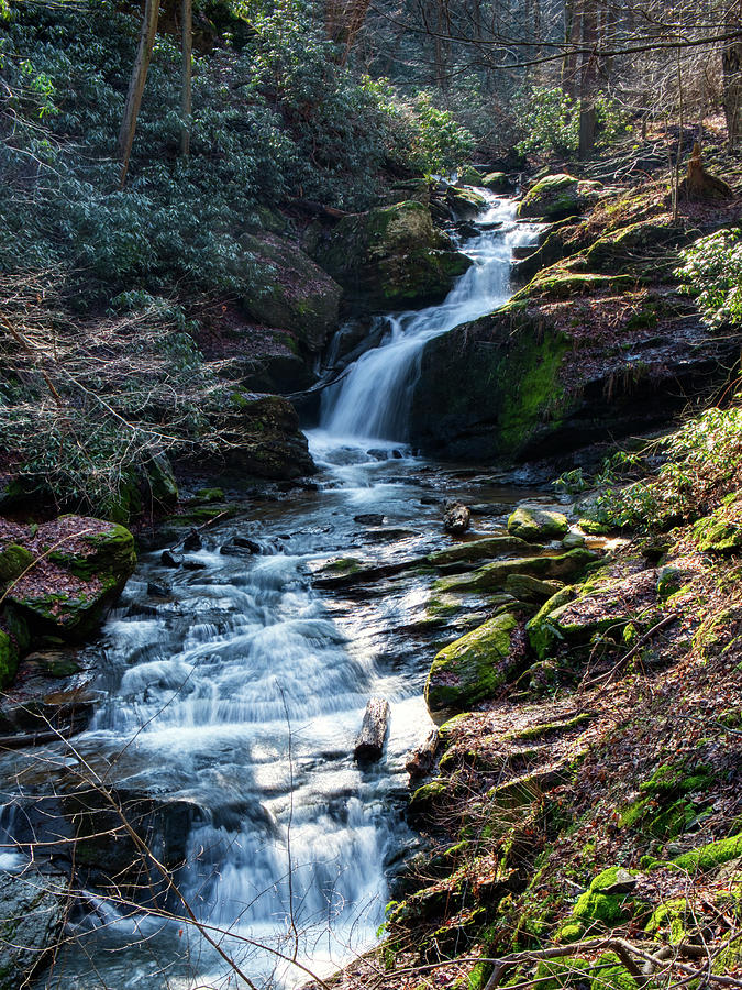Mill Creek Falls  Photograph by Mark Dodd