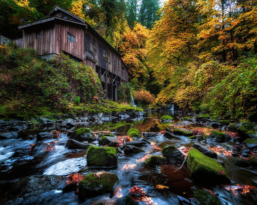 Mill in the Fall Photograph by Michael Ash